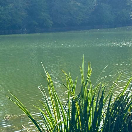 Lac De Lumiere. Relax With Rural Lakeside Living Herry المظهر الخارجي الصورة