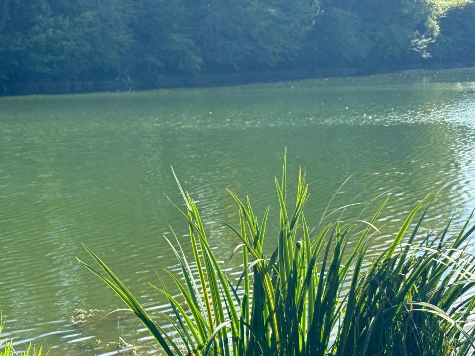 Lac De Lumiere. Relax With Rural Lakeside Living Herry المظهر الخارجي الصورة